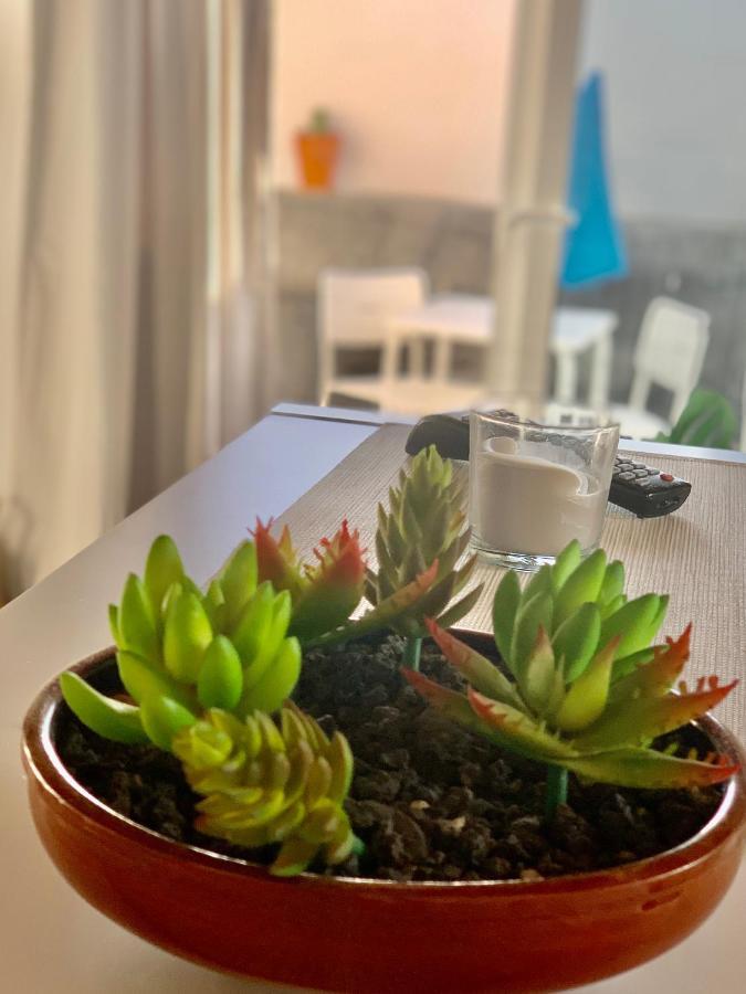 דירות פלאיה בלנקה Loft La Isla מראה חיצוני תמונה