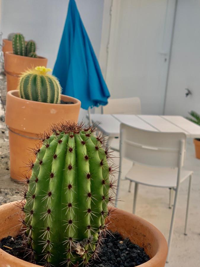 דירות פלאיה בלנקה Loft La Isla מראה חיצוני תמונה