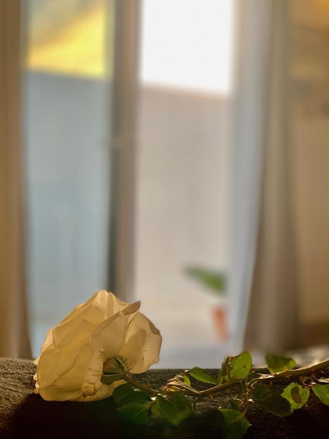 דירות פלאיה בלנקה Loft La Isla מראה חיצוני תמונה